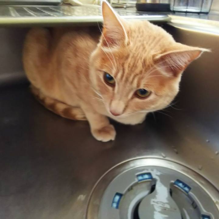 9784def1 c9ba 4ca2 846b c05d6e661cb1 1556578909891