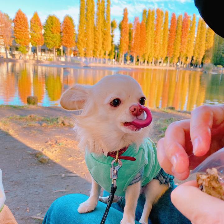 9784fcc0 5cb4 422e 907f 20fdfa3cab6d 1636970233148