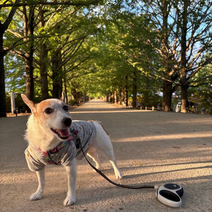 97854aab b9a4 4157 aeb7 e6d58a821c5d 1759706726600