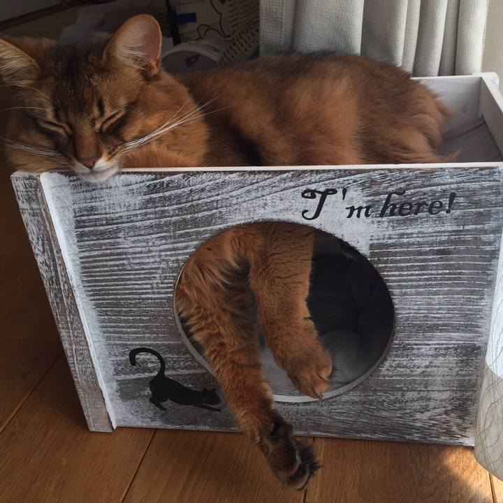 97856b10 b08c 4865 a9c3 beaaaa5c9e31 1613534092762