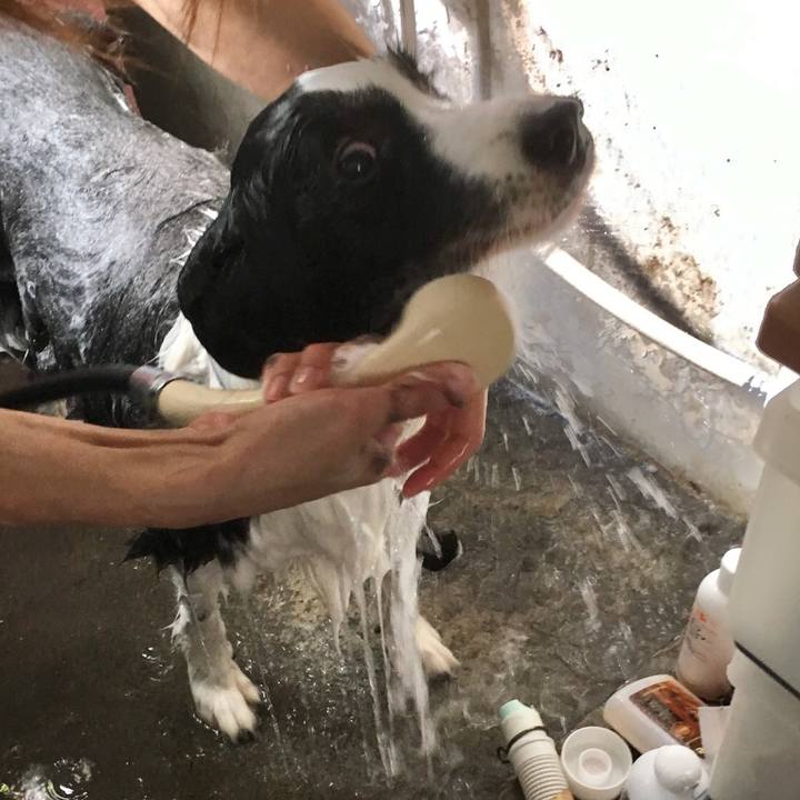 97858d59 2a55 4d8e bd5a ecf5fee8c1da 1542187226227