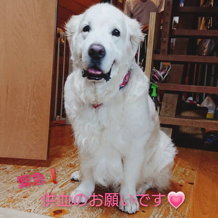 9785953f a94f 4c09 8faa 004e9fa5715a 1612087194669