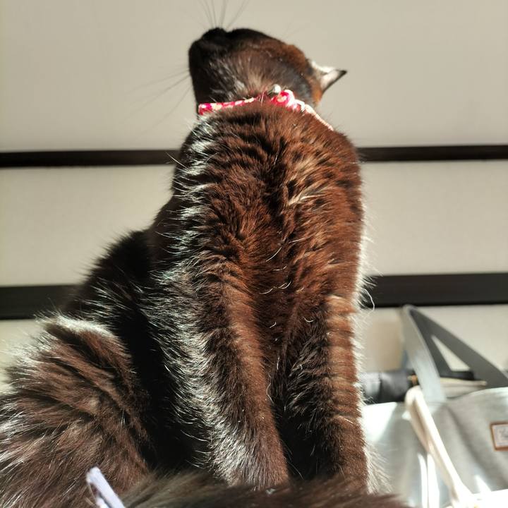 9785b4c5 75b6 4507 8b88 c95883d0b94b 1643238899920