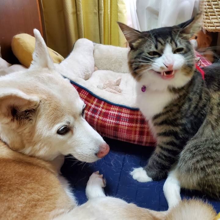 9785cae6 3819 4a3d a49c 16fd7f191d84 1658013302436