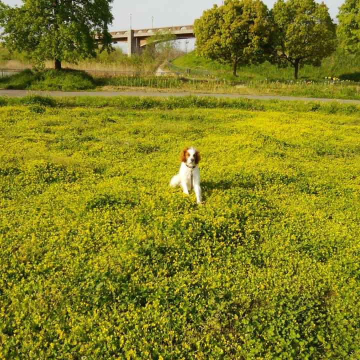 9785d711 fade 4ffc a1c1 0668172e4eb4 1523591074167