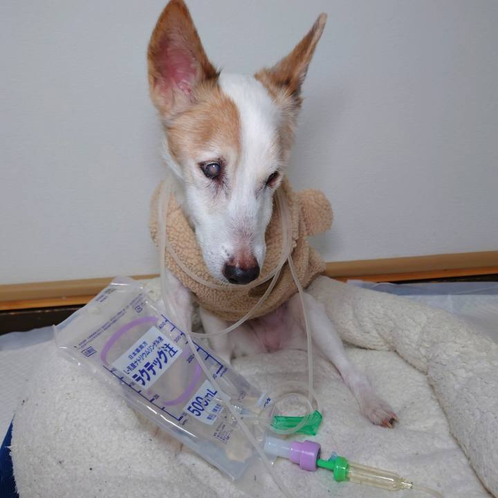 9785da8f d7cd 43bc 8229 22d004a9c707 1768134102730