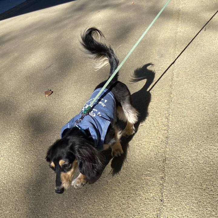 9785e19f 06c4 4067 bcb7 d0fe8b153c5f 1735701109828