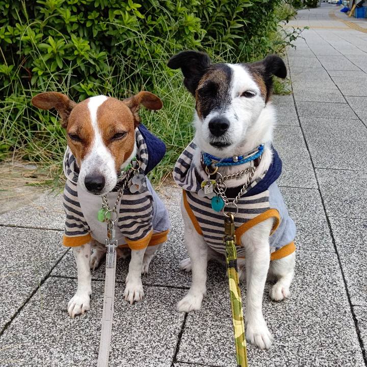 9785e29e 41cf 44b1 83e1 d4972b8a9c3a 1662242935199