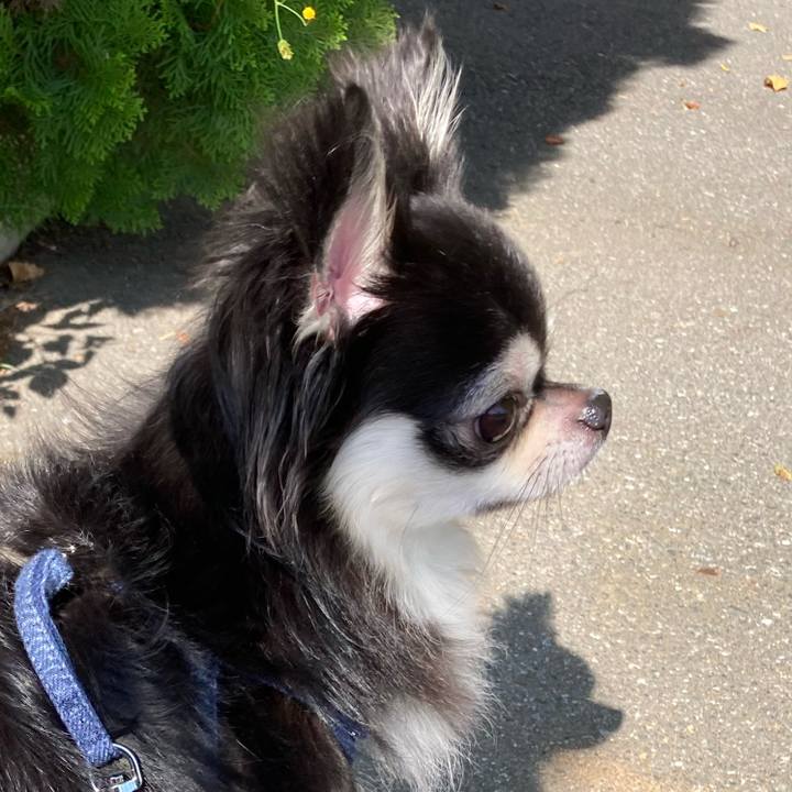 97860c33 c458 4ff8 8fa2 db5c231c7e2a 1664596758986