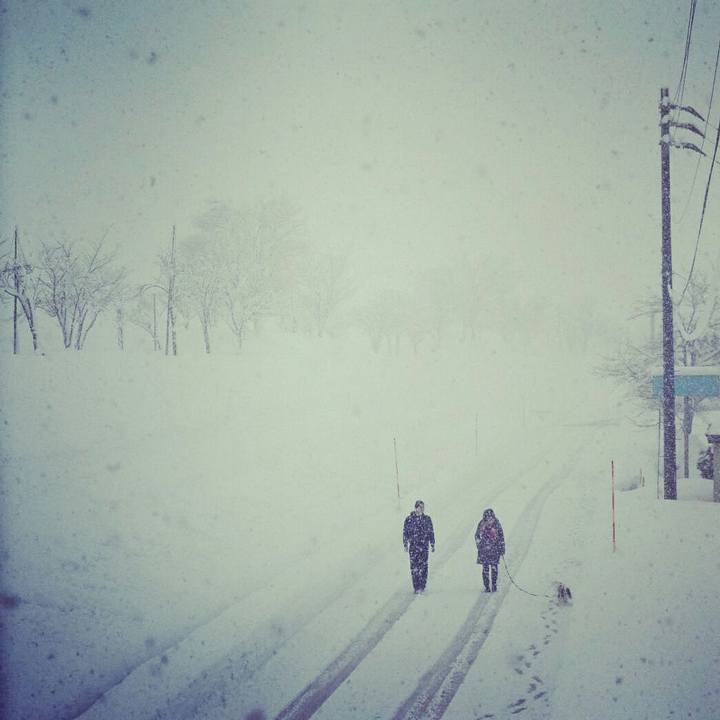 97861245 7b9f 42d6 88e7 ff4452493adf 1515058134269