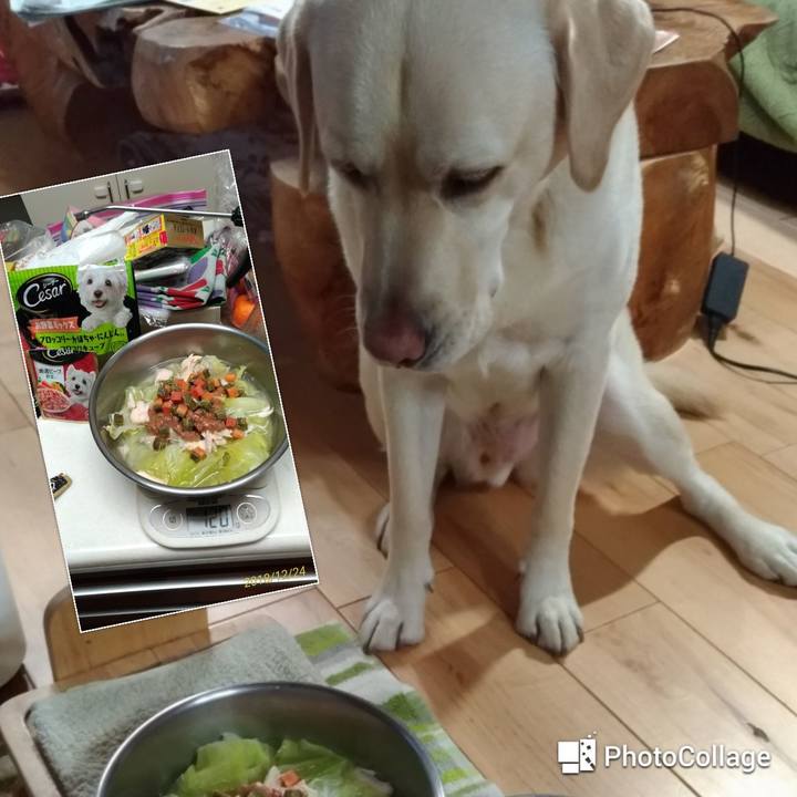 978623cc 930a 49ec a525 7bf5357b21e3 1545649378465