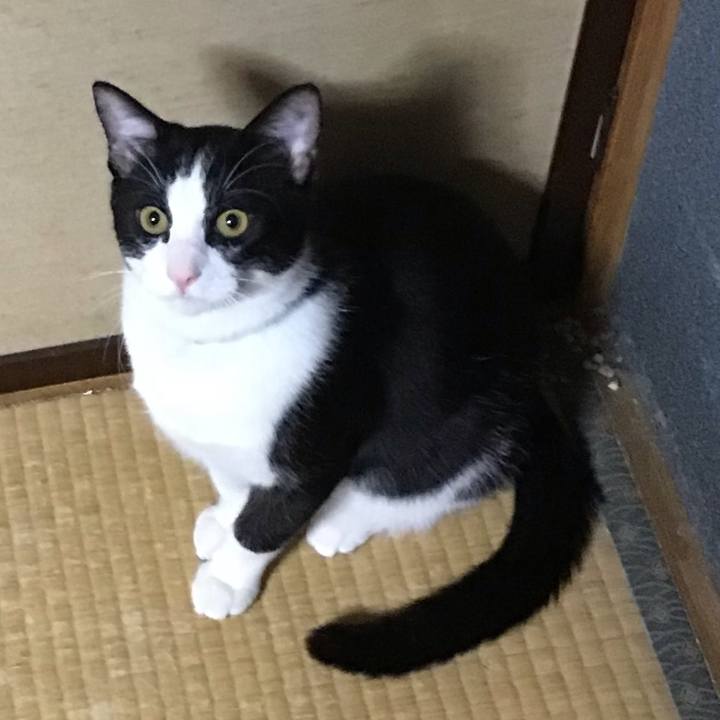 978626fc 135f 46ad 8544 8a5bf6650f89 1636625917091