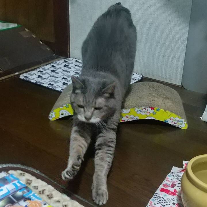 97865033 a4bd 425a a06b 47b31723f47c 1670232092668