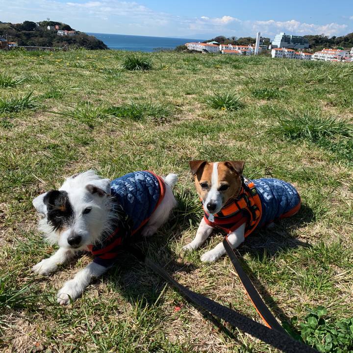 97865b5d dee2 4ae7 9f69 f74d42f284ac 1554081464743