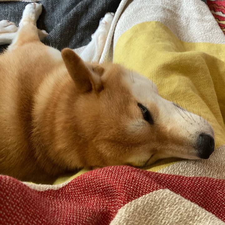 978664a6 c2fe 409e 8972 5a1efee1bded 1662010487419