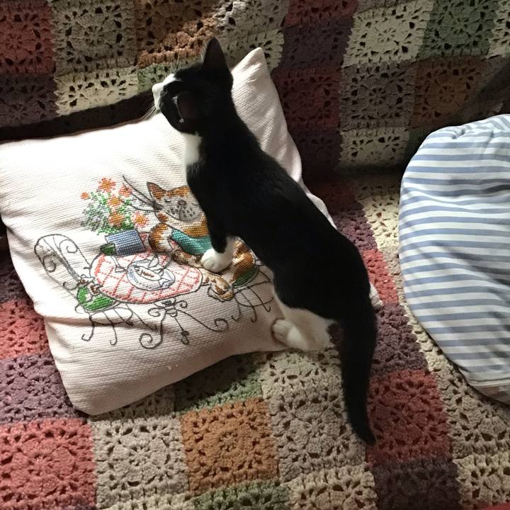 97866845 96f1 477b 89e3 d05ad8a51c13 1625959136847