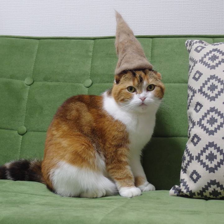 97866d69 c845 416e a701 914817afe3fb 1582362715064