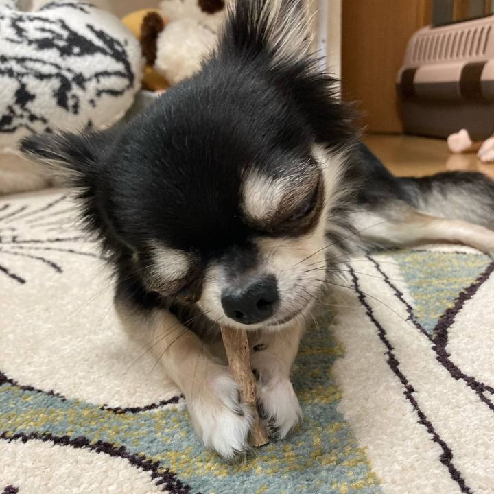 97868bb2 5485 4139 a269 90a0b77359b3 1621170353197