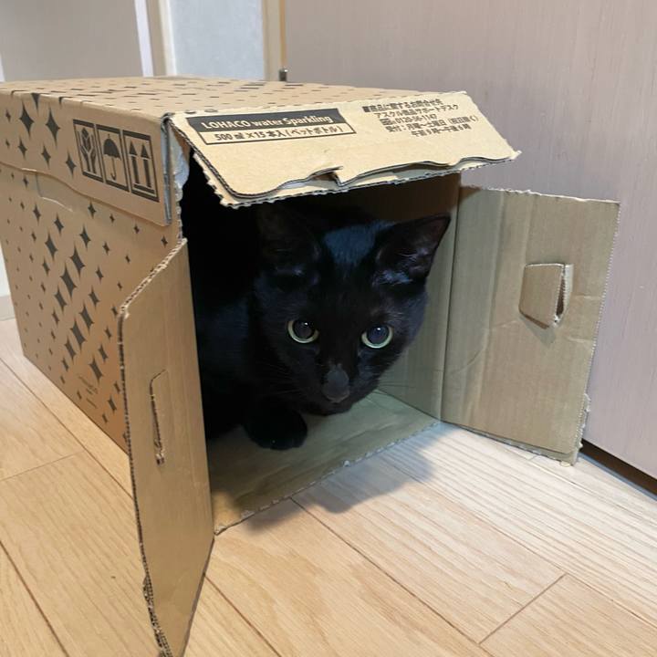 978691fd 3a40 45e7 8b7e 7d9f6c47f5e0 1659616063328