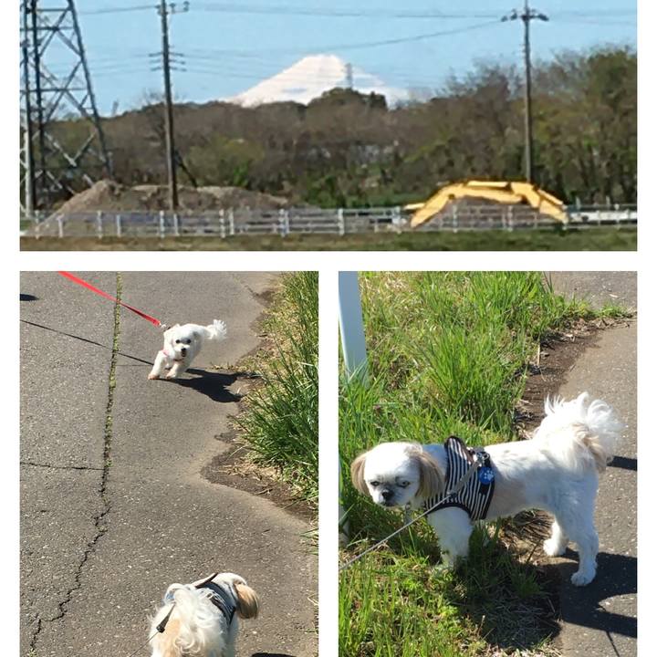 9786d55b 78d5 4325 a06b 0b9a5cc9dd31 1587294563669