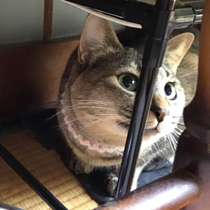 9786d5df b6a8 4f33 9718 72b49cb896ae 1653270416857