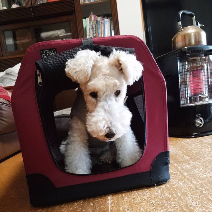 9786f2e5 72dc 4853 bae9 d6893f3f84e2 1556618066938