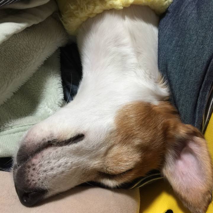 978745e2 e761 4650 a748 13c9bcebe82c 1512997870443