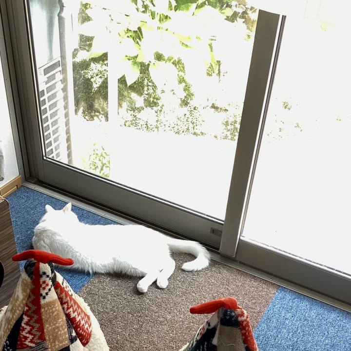 97874960 21e3 4090 ba7f f60c5679fcab 1719982356246