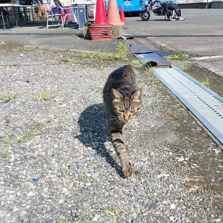 978770b2 1fcd 4dde a1e9 61debd341cc2 1631275513250