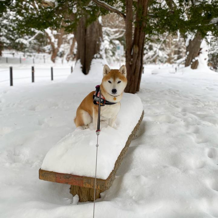 978780c9 8cc3 4cc6 92b5 6b2f68fdffca 1641862595564