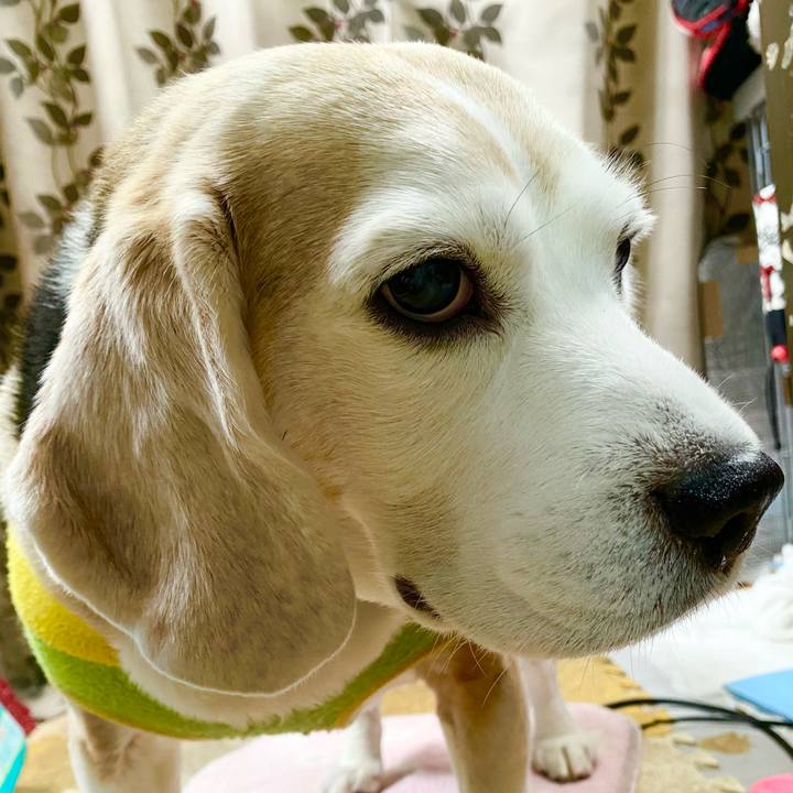 9787a4cb ff62 4717 bc9e ba77c3ab839e 1650254039850