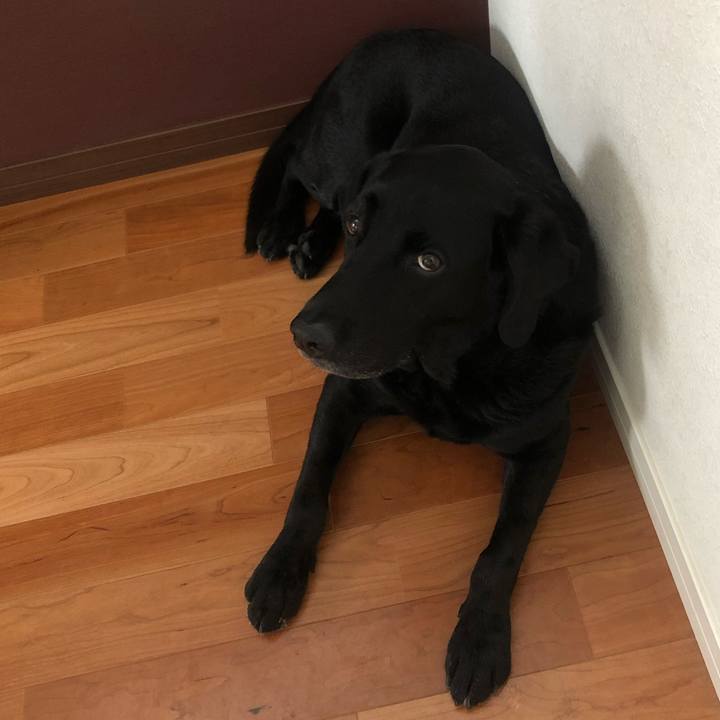 9787ad21 4d2d 4c7d 8e69 da9a0a5af534 1654486523456