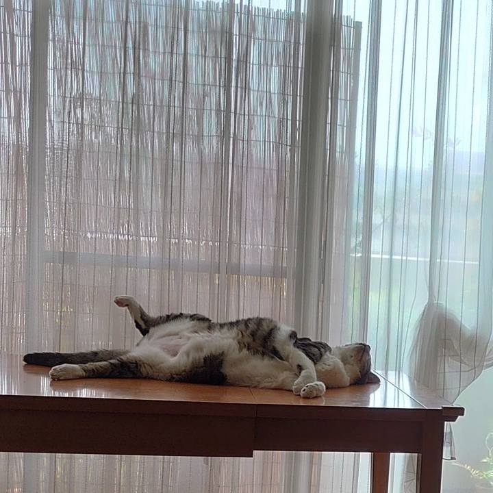 9787c61a 3012 4f15 b073 b758ef51d8f6 1690851978447