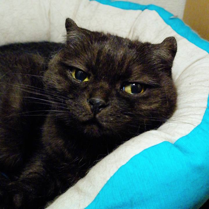 9787d41d 8c28 482f a973 be3435c6022c 1631627265564