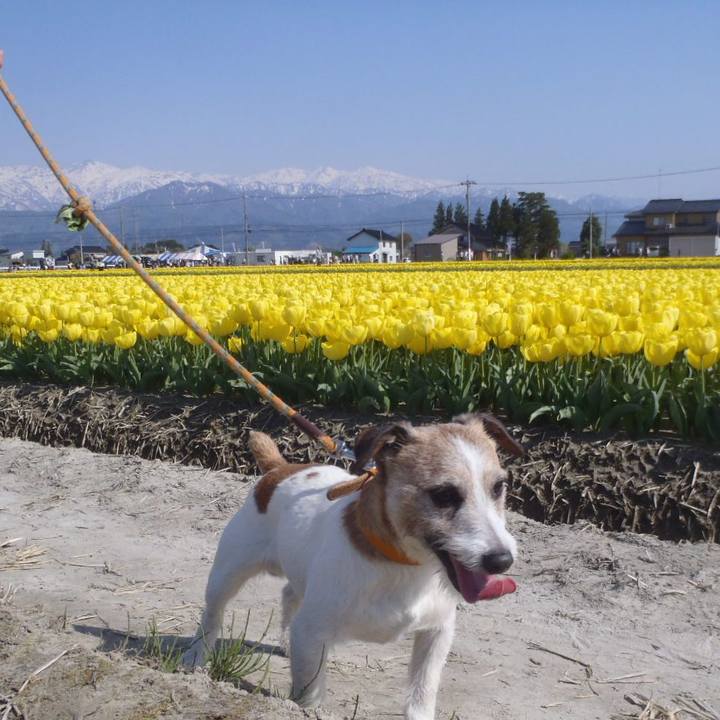 9787eaf5 0326 4657 90e3 8012b7b29311 1525104144458