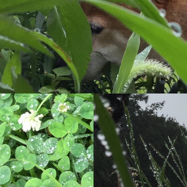 9787eda9 0dc4 4014 8136 b7306fdfc8a4 1562923189282