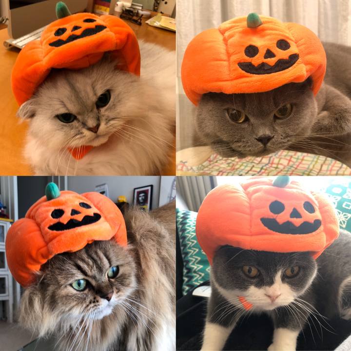 9787f1bd cddf 427b 97f4 0936acd234ca 1572507403305