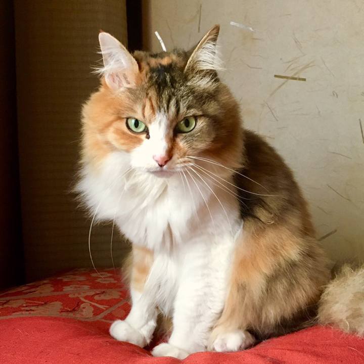 9787fb20 8338 4b2a 900b bbbf643d421b 1558746037682