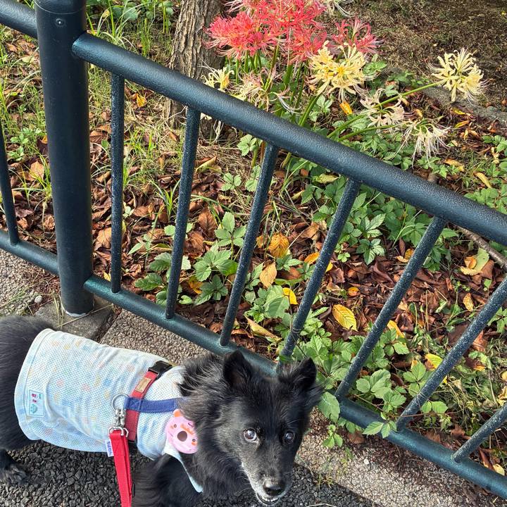 9787fecf 0ec0 4cdb a5da c4b491b92c6b 1758498535978