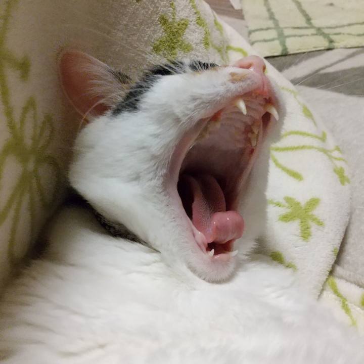 97881fbb 5b20 4624 bf32 2c05d87c1a2f 1608200074067