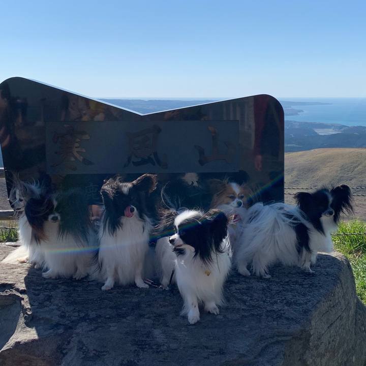 97882acf 6ff3 4bdb ba9b 569dba0f5e52 1556891179753