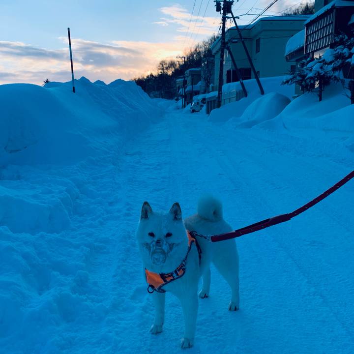 97883911 1005 4913 aff8 81a7242b0b22 1676327005010