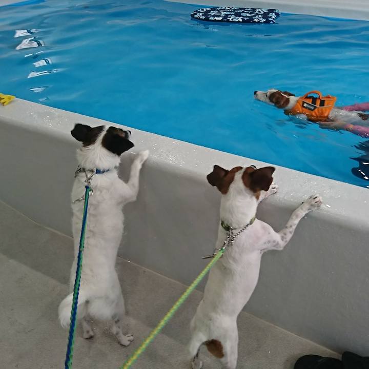 9788496d 88b2 4e08 b1d7 719f4489da10 1593064417313