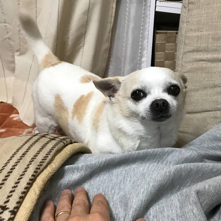 97885b73 41ee 42fa 8ce8 564be0d5967e 1515382103799