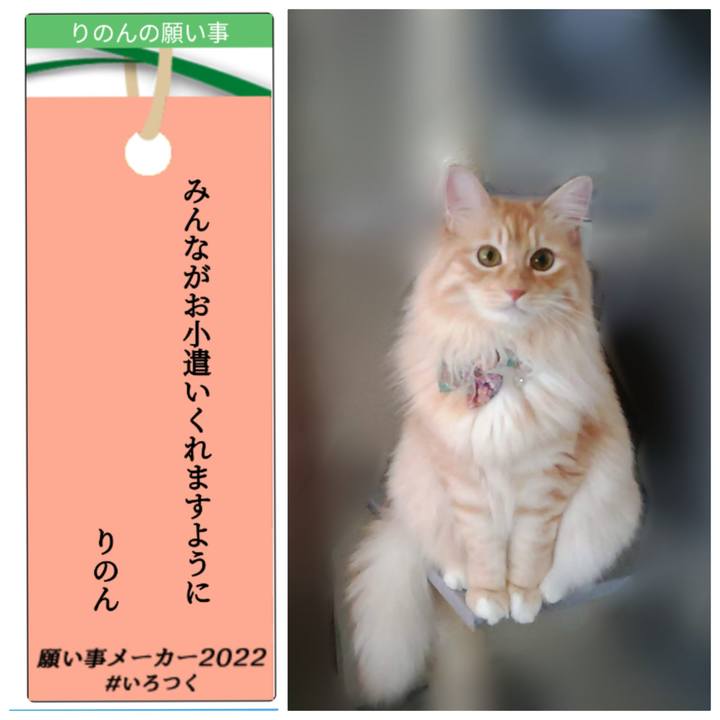 9788864f 3906 4bcd 95ac 8147f2842e93 1657169789274