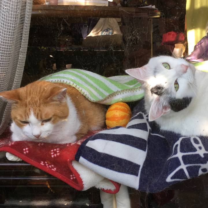 978899cf 2795 4b12 8b09 4de4329c963b 1604137406899