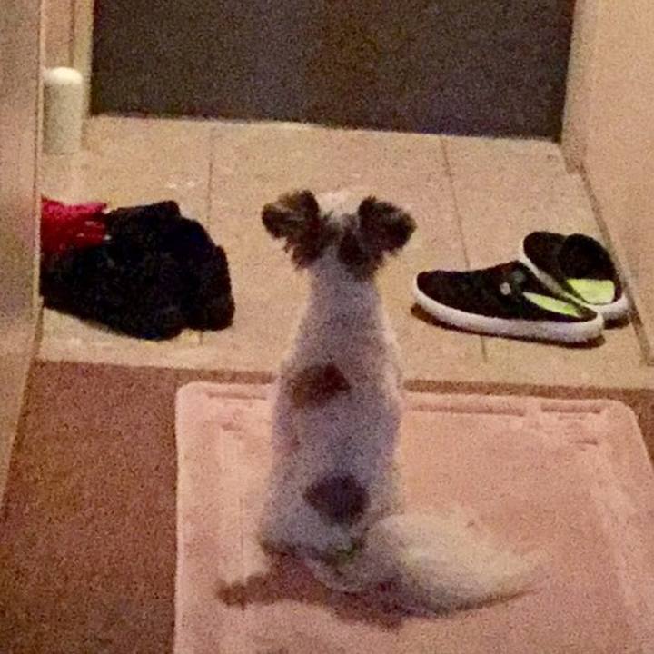 97889a7f 094f 48ad b6c3 83ad1ef530af 1508104816759