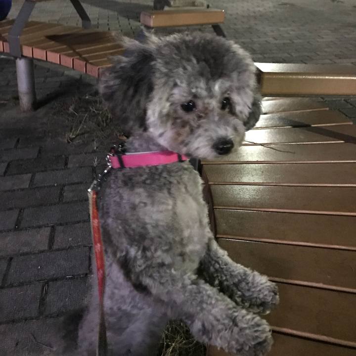 9788b149 848b 4060 8c84 946006c652c2 1508838221009