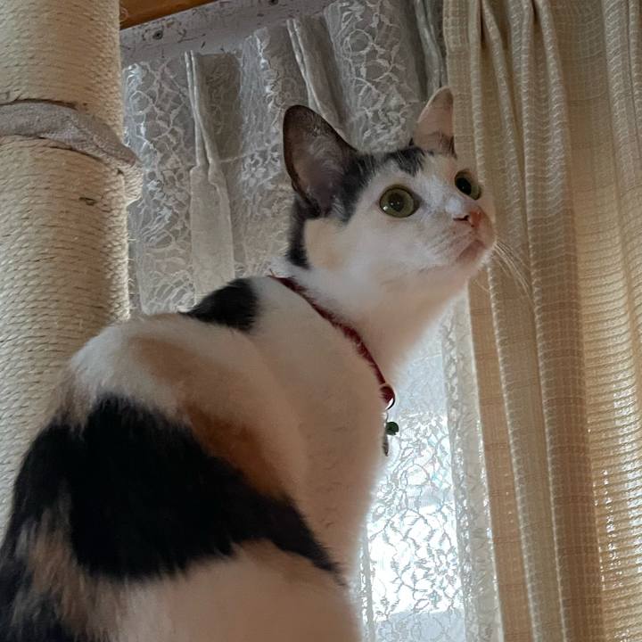 9788b315 ddfa 4751 b474 78027a2332d2 1729818480850