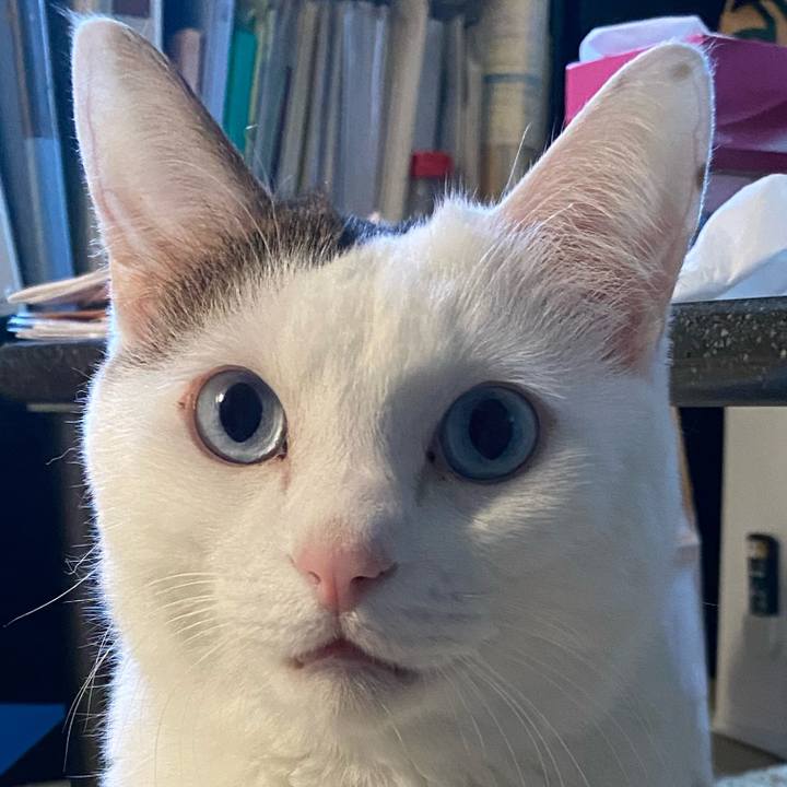 9788cd2b c96d 474e 8735 d40823561ab2 1734251437591